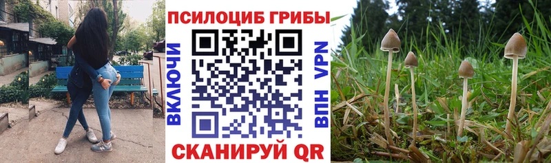Галлюциногенные грибы Psilocybine cubensis  Киренск 